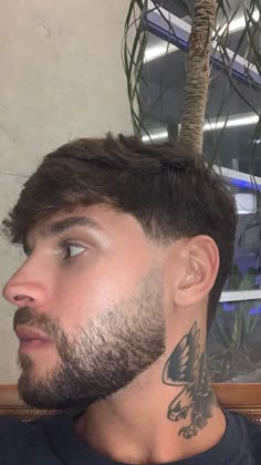 Alt Image